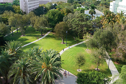 An aerial photo "the greenery" on the University of Miami Coral Gables campus. 
